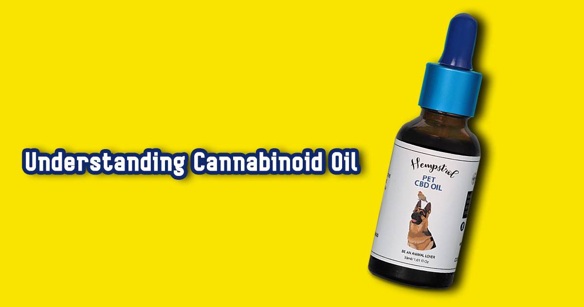 Cannabinoid oil for dog